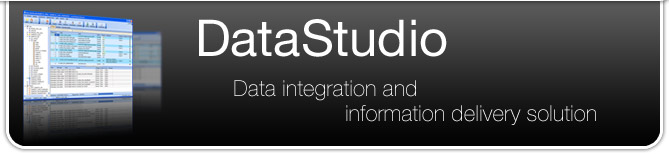 DataStudio_en